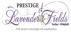 prestige-lavender-fields-logo-Design-240-110