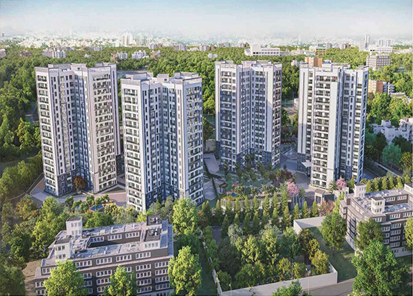 prestige-pine-forest--600-430