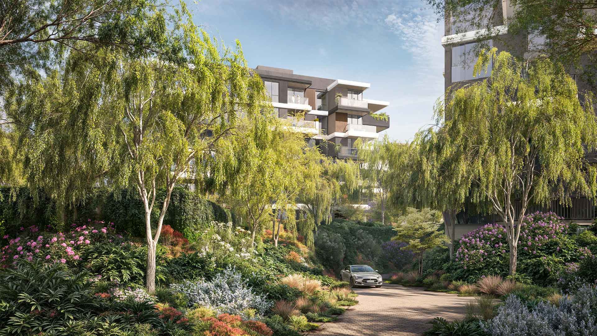 nikoo-shettigere nikoo-shettigere