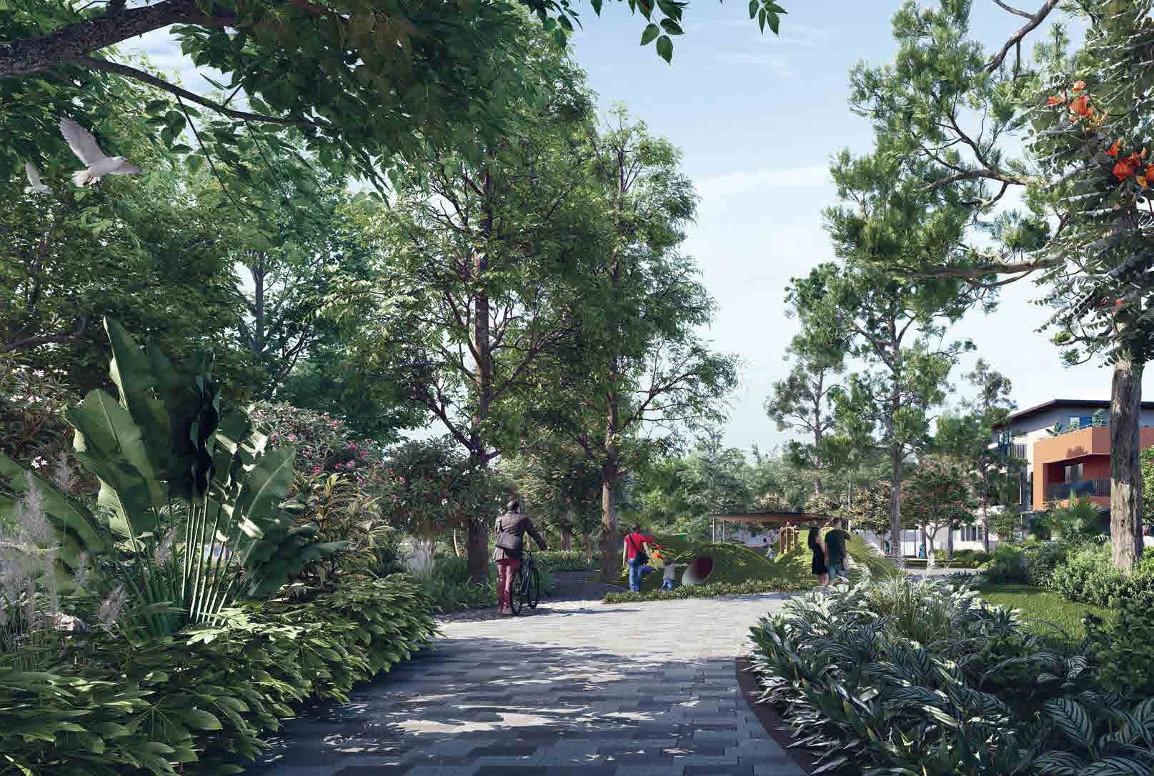 capstone-mid-summer-ivc-road