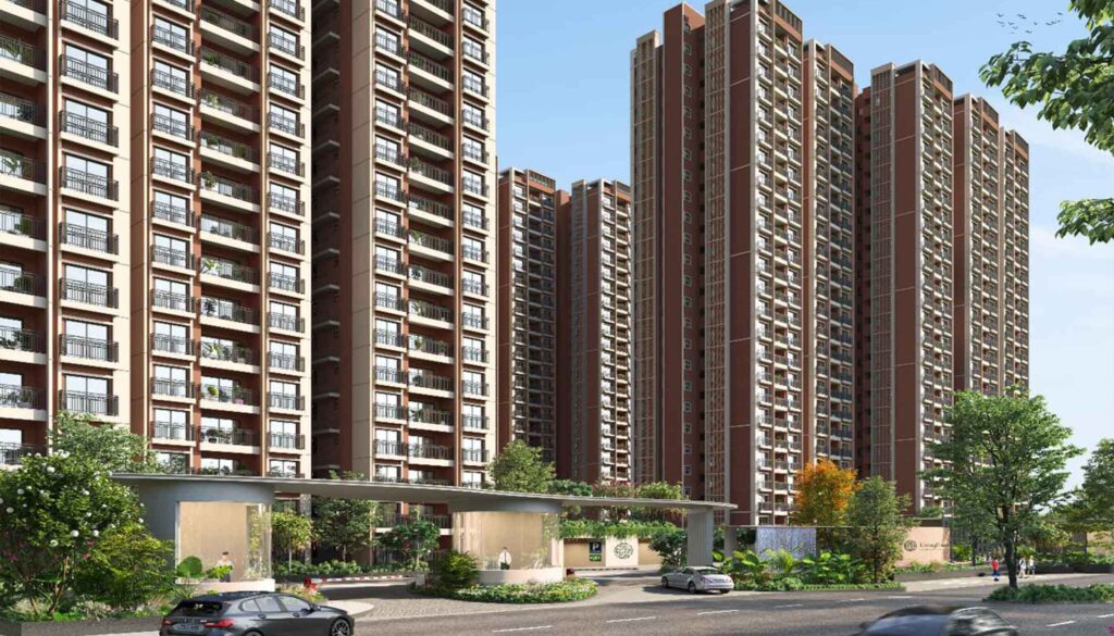 Kalyani Living Tree - gallery image 6