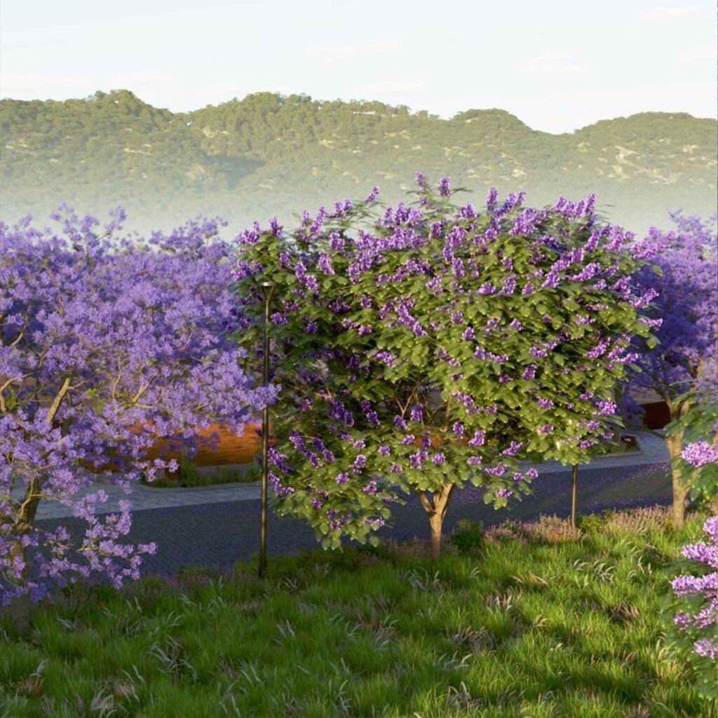 Total Environment Violet Hill - gallery image 6