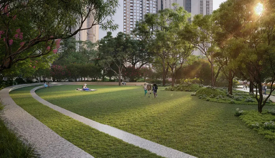 Purva Northern Lights - gallery image 1